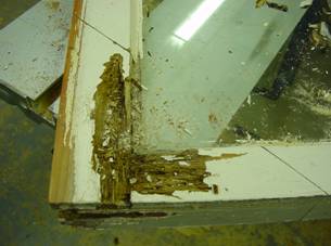 Sash Stile and Bottom Rail Repair.